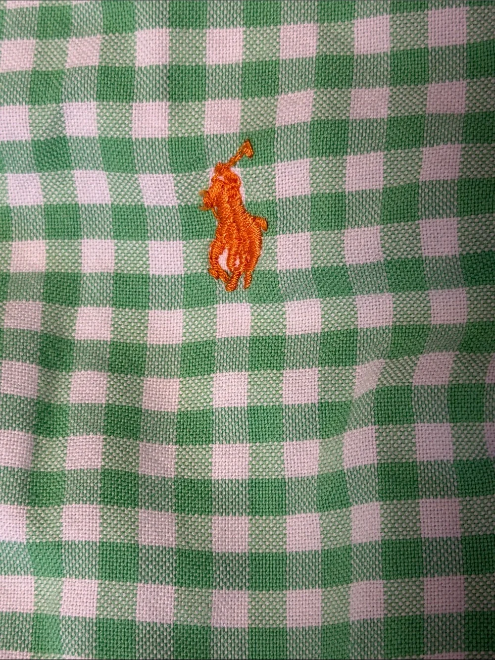 Ralph Lauren Light Green Gingham Button-Down Shirt for Kids